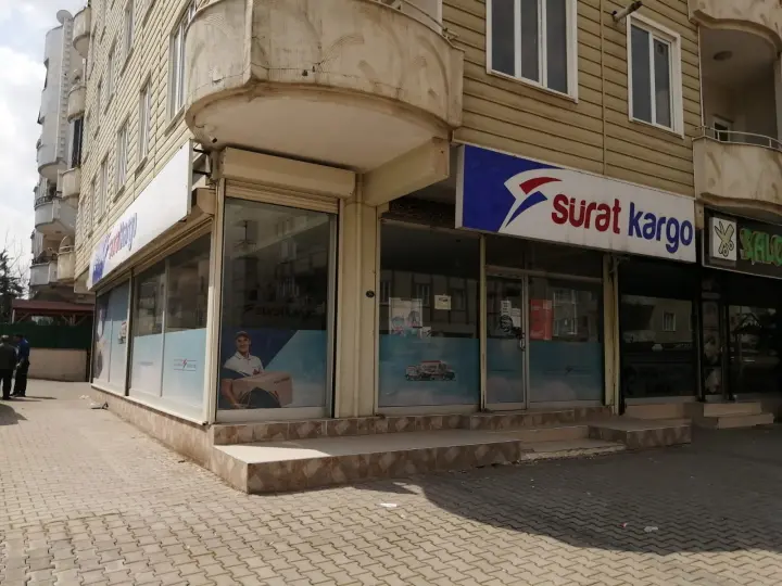 Kedi baba kargo