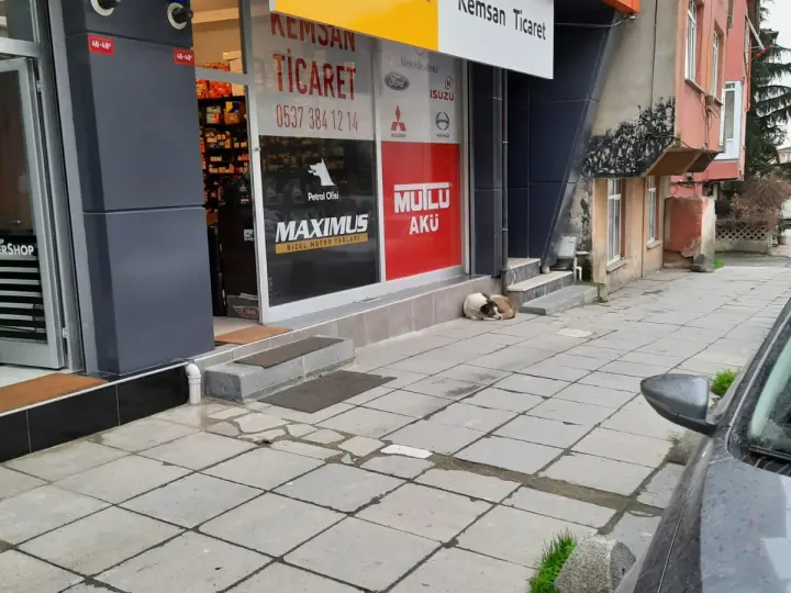 Kemsan ticaret