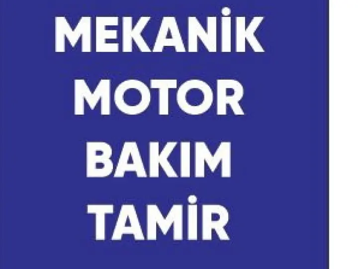 Kia özel servis Dohc car servisi