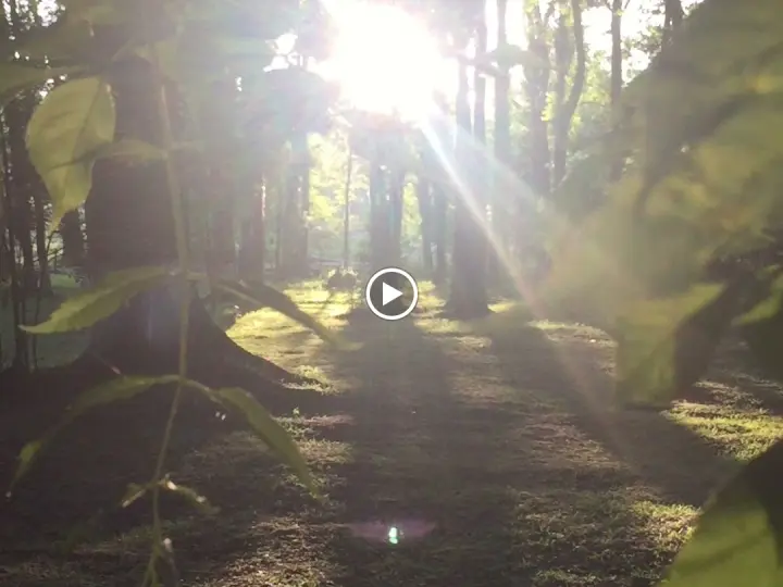 Kocaeli ELMA GRUP SİGORTA