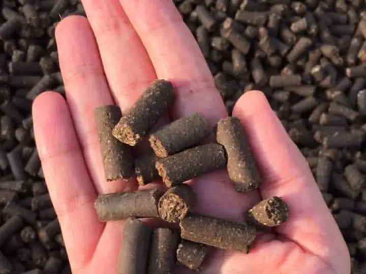 Korkuteli Katı Yakıt & Pelet İmalat