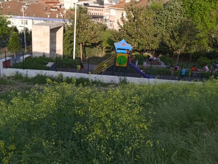 KOTEVRA