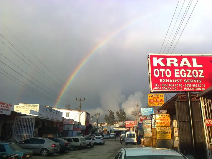 kral egzoz