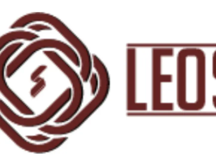 Leos Lojistik ve Otomotiv A.Ş
