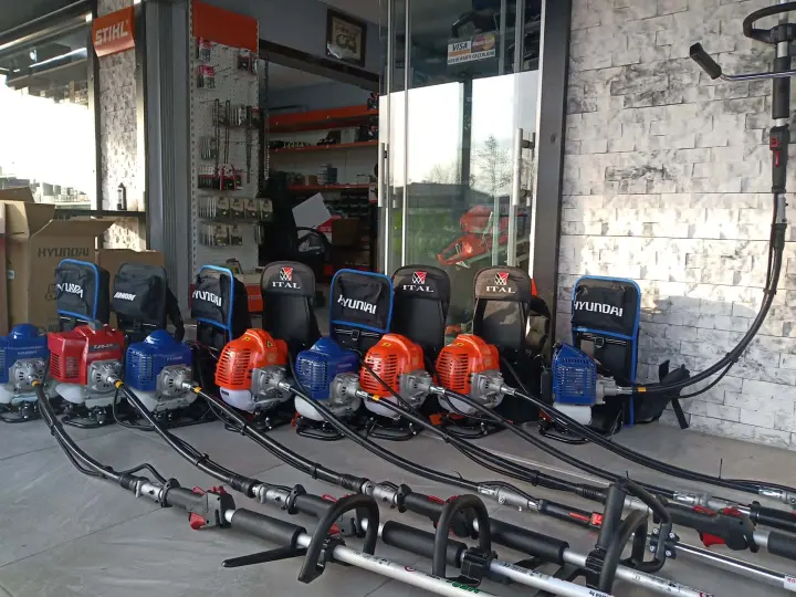 Lıfan Motor