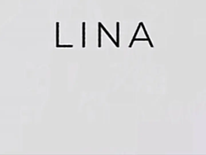 LİNA OTO YIKAMA