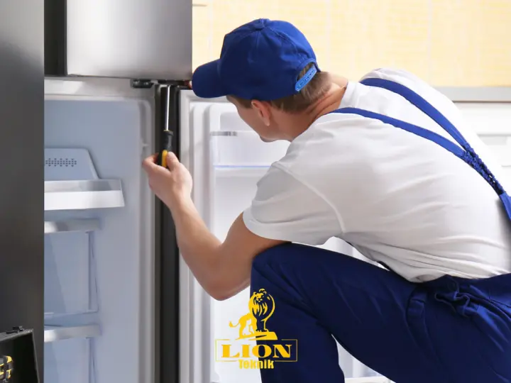 Lion İzmir Kombi Klima Teknik Servis