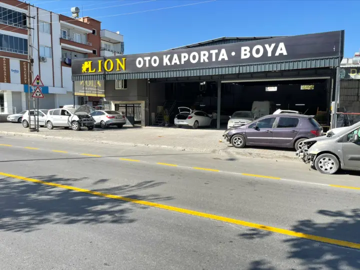 LION OTO KAPORTA