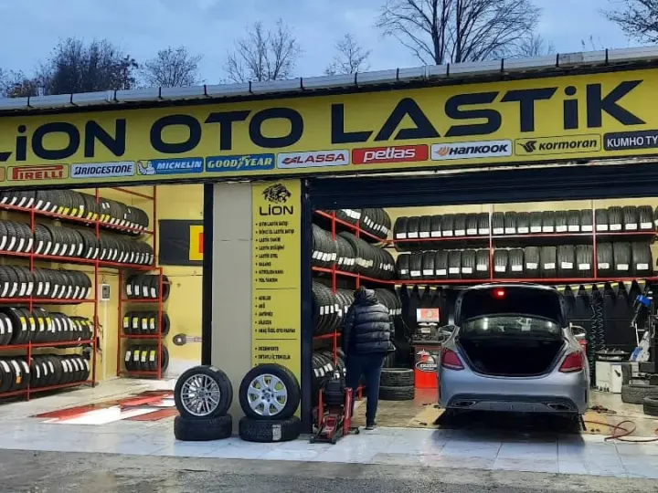 LİON OTO YIKAMA OTO LASTİK (ACARKENT)