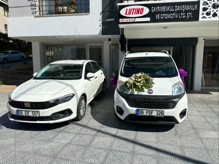 Lutino Car