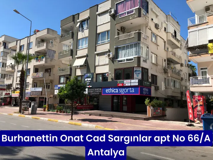 Mavi Yeşil Sigorta