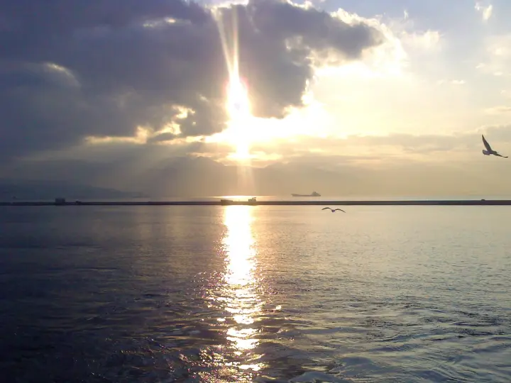 Mercan Sigorta Acenteliği Allianz