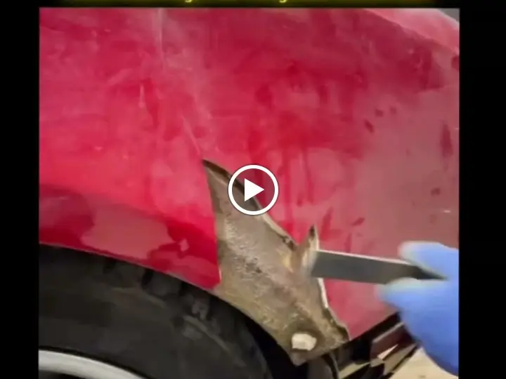 MERSİN OTO EKSPERTİZ 7/24 MOBİL