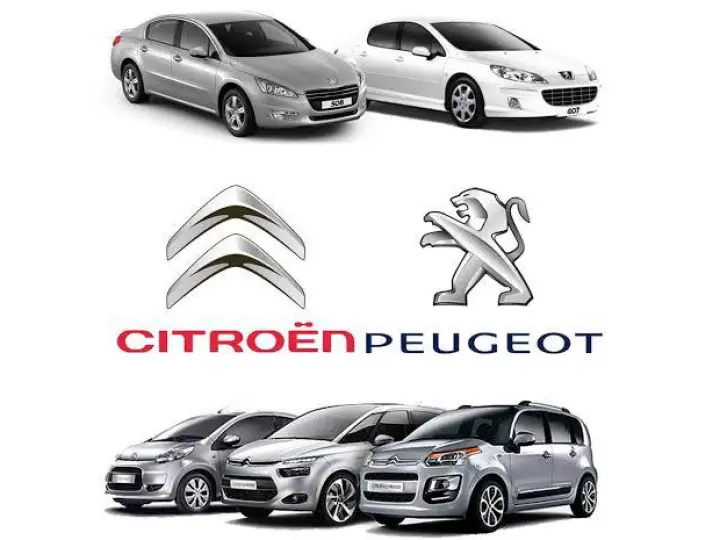 Mersin Oto Mezitli Peugeot Citroen Özel Servisi