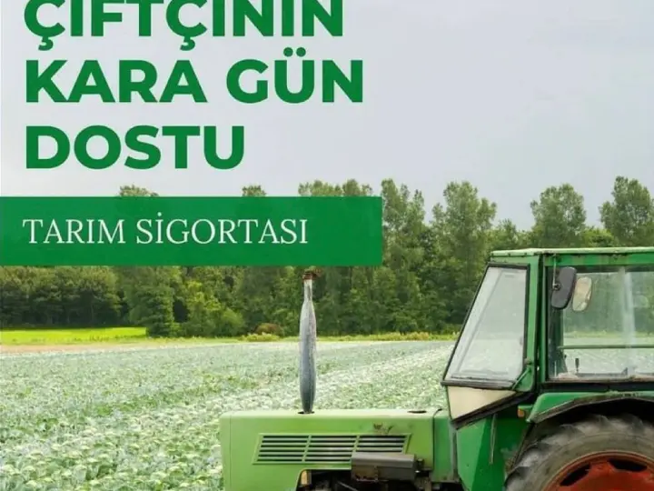 Mert Grup Sigorta Shop Biga