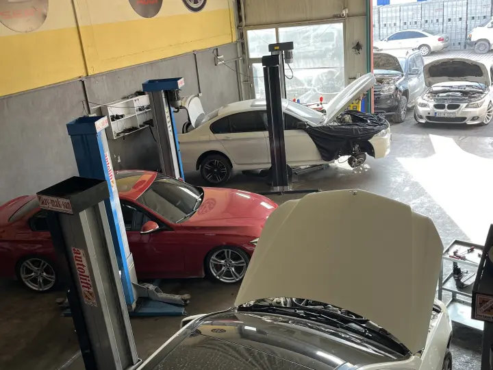 Meşe Motor