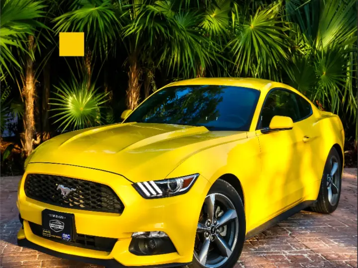 Mesut Rent A car