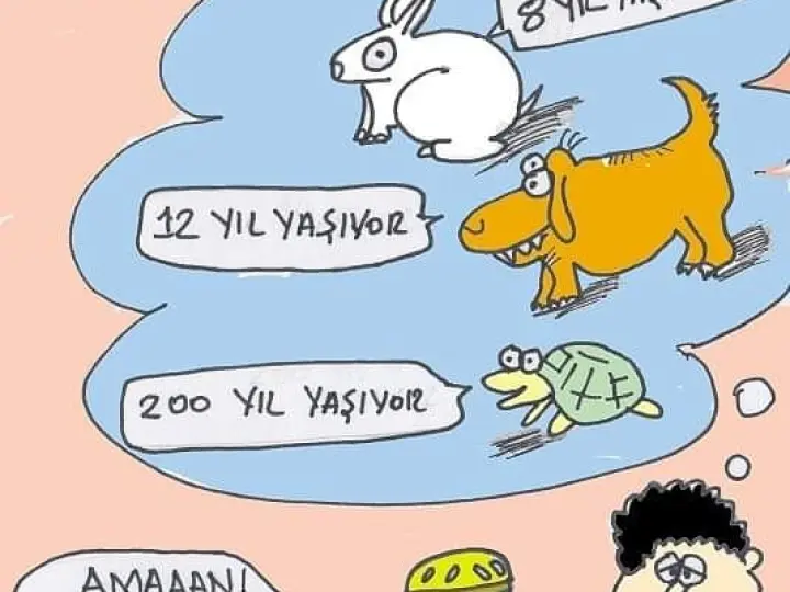 Mola Lolaz