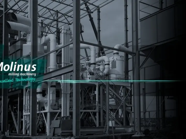 Molinus