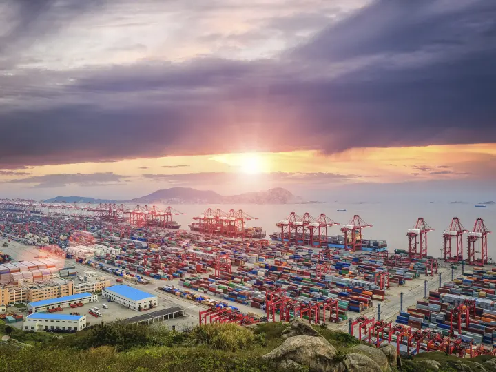 Netlog Global Forwarding