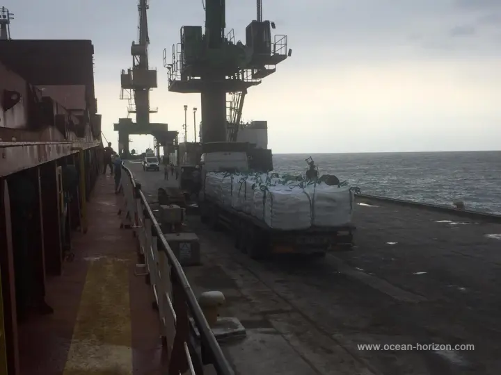 Ocean Horizon Uluslararası Taşımacılık, Denizcilik, Acenta, İhr. İth. Tic. ve San. Ltd. Şti.