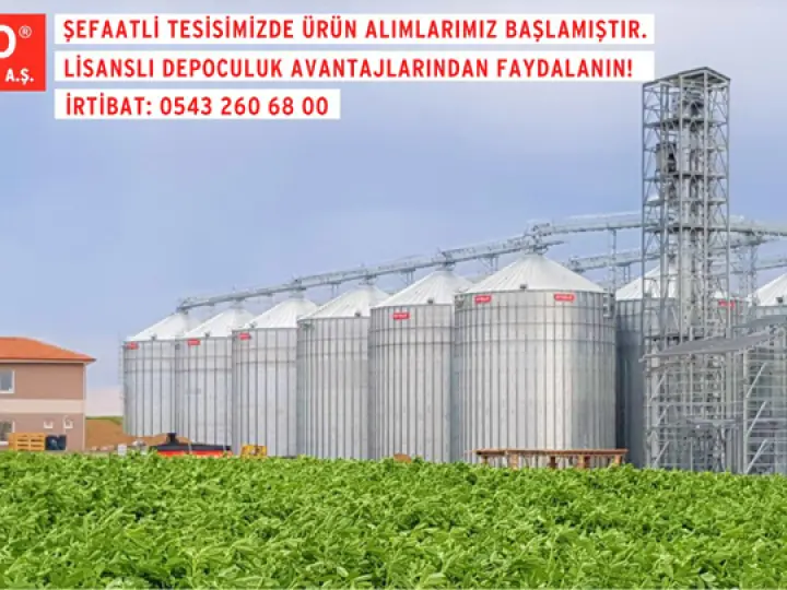Onur madencilik lojistik (şefaatli şube)