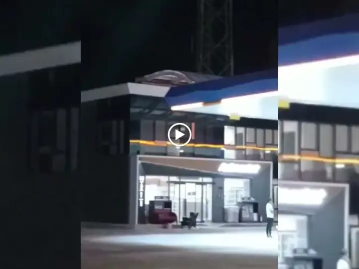 Opet Deniz yalçın akaryakıt