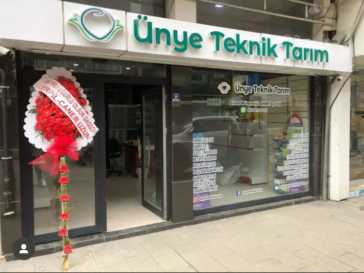 ORDU Ünye