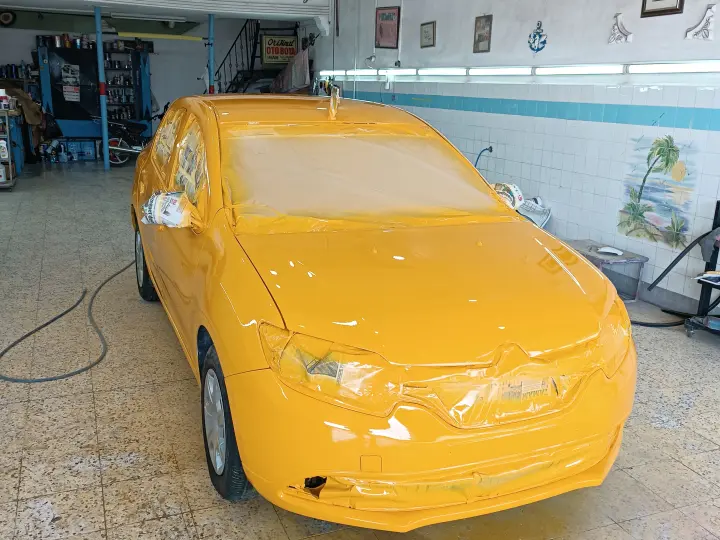 Orijinal Oto Kaporta-Boya