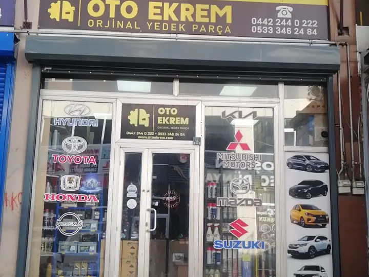 Oto Alman
