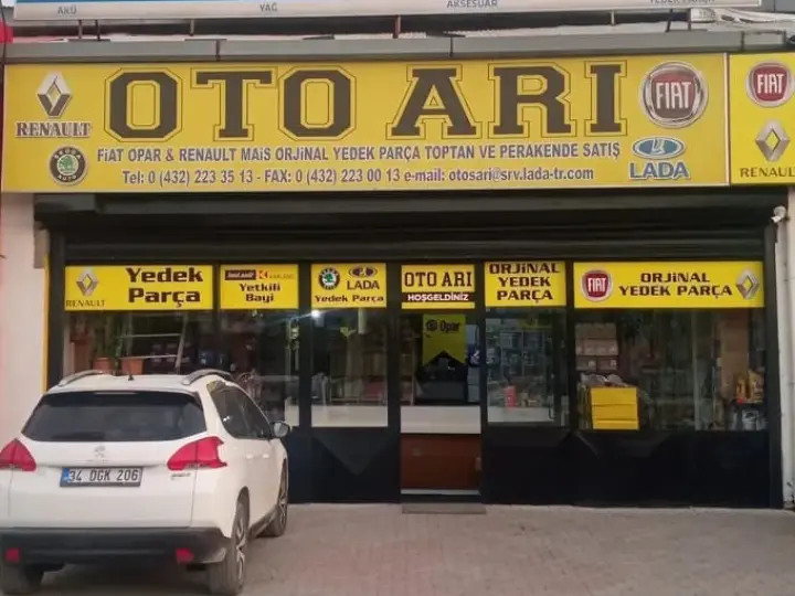 Oto Arı
