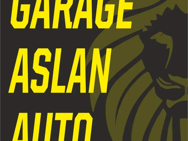 OTO EKSPERTİZ ASLAN AUTO