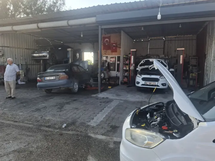 Oto Klinik Ayas Yumurtalık