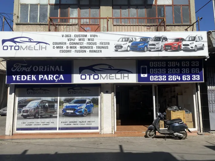 Oto Meriç