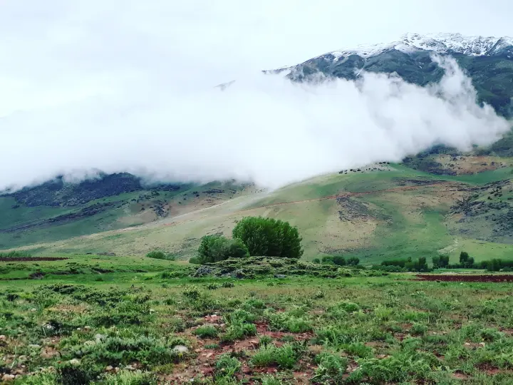 Ovacık Dersim Taksi