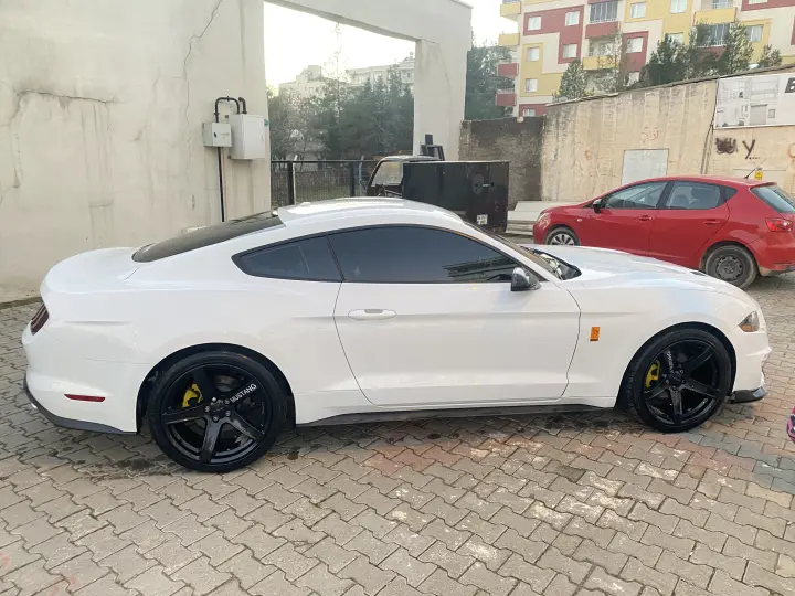 Öze detailing