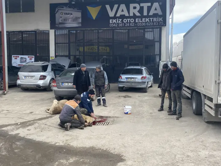 Özyiğit Otomotiv Mekanik Motor Elektrik Servis