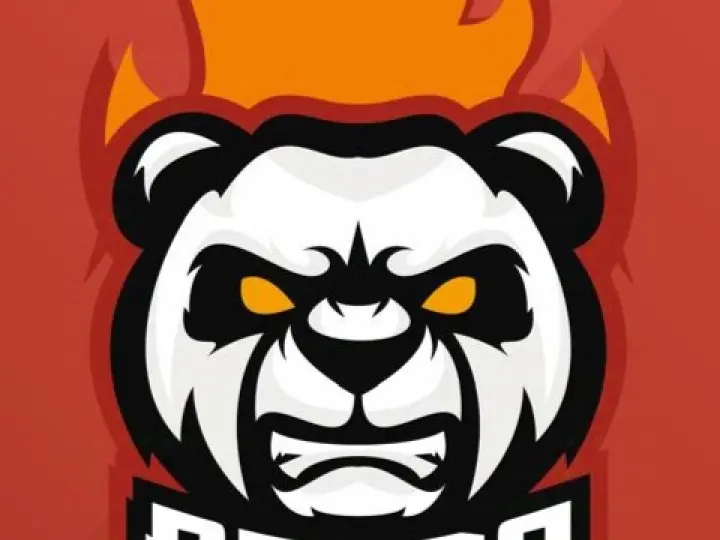 Panda MOTOR
