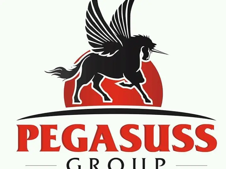 PEGASUS ARAÇ KİRALAMA