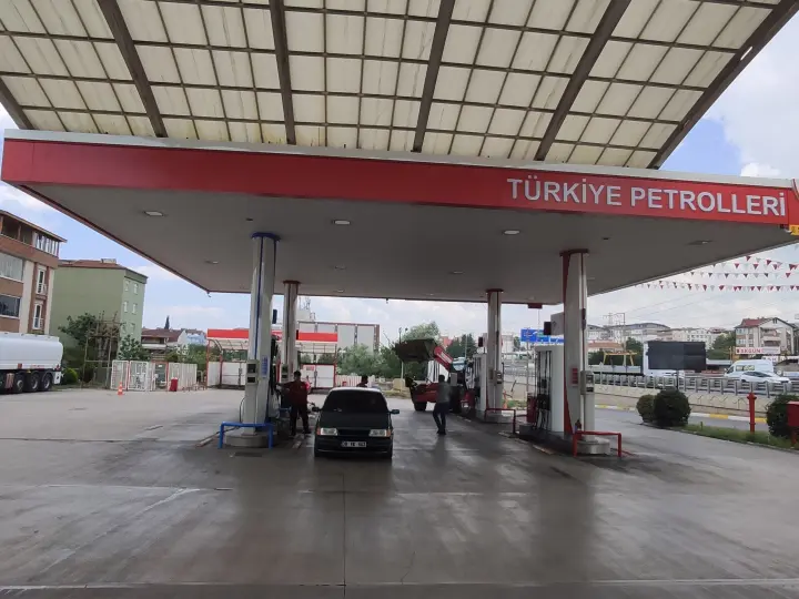 Petrosist