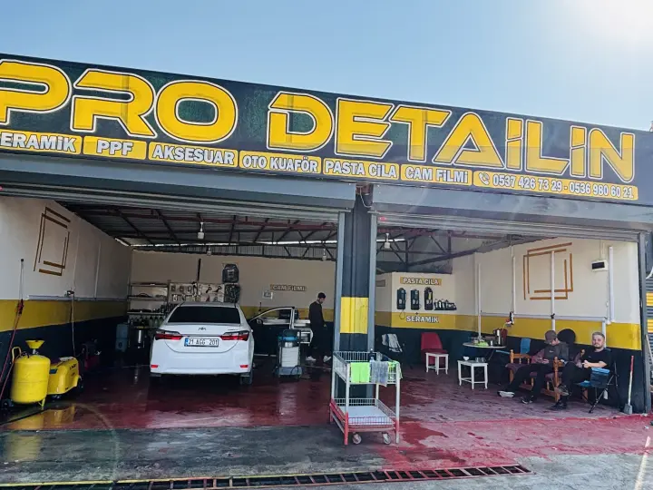 Pro Detailin