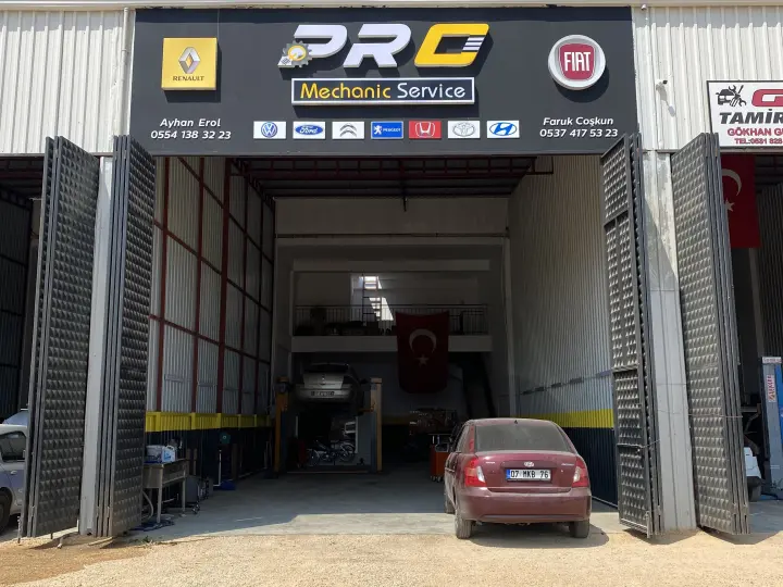 Pro Mechanic Service