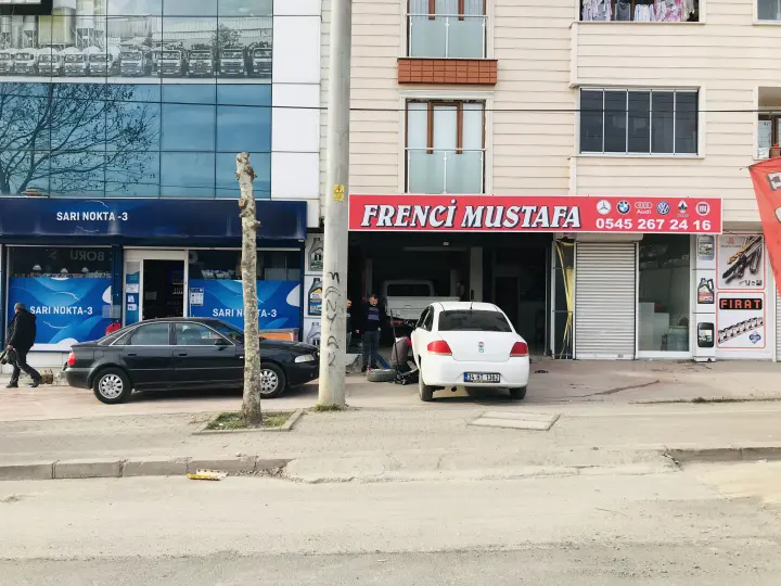 Profesör Frenci Selami