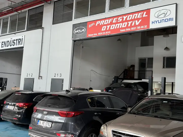 Profesyonel Otomotiv Tuzla