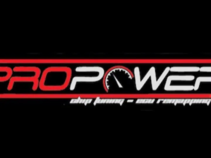 ProPower Chip Tuning Yazılım Manisa