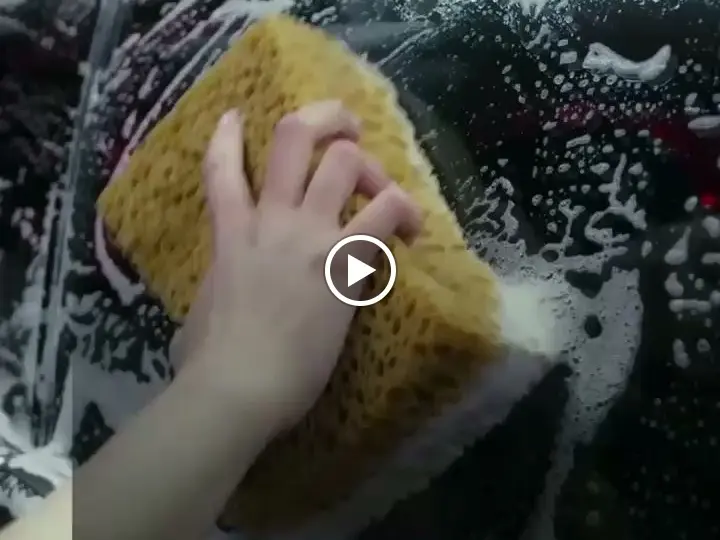 Quality Oto Yıkama 2