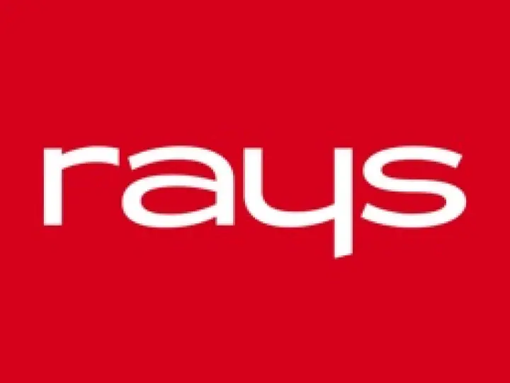 rays Lojistik