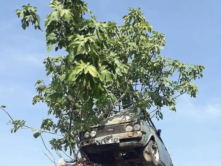 Şahin Otopark