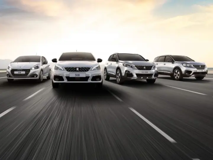 Sakarya Peugeot Özel Servisi
