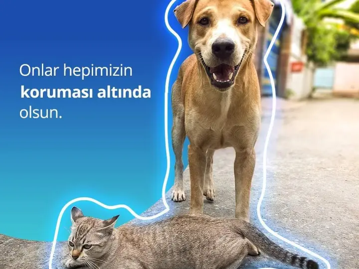 Sakarya Vizyon Sigorta - Ethica Sigorta
